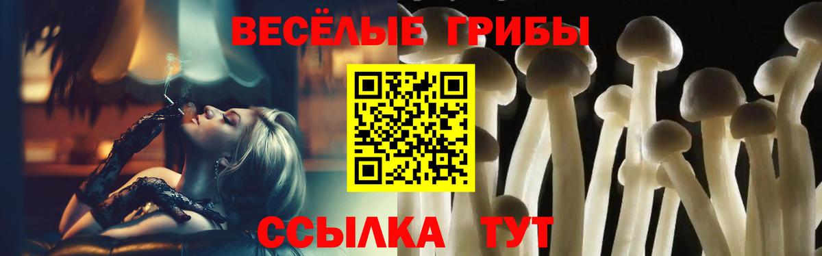 Снежинск  Псилоцибиновые грибы Cubensis  Вход с VPN  Псилоцибиновые грибы Cubensis 